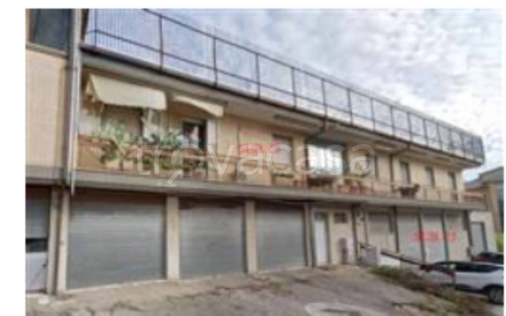 immagine annuncio 4 di 12