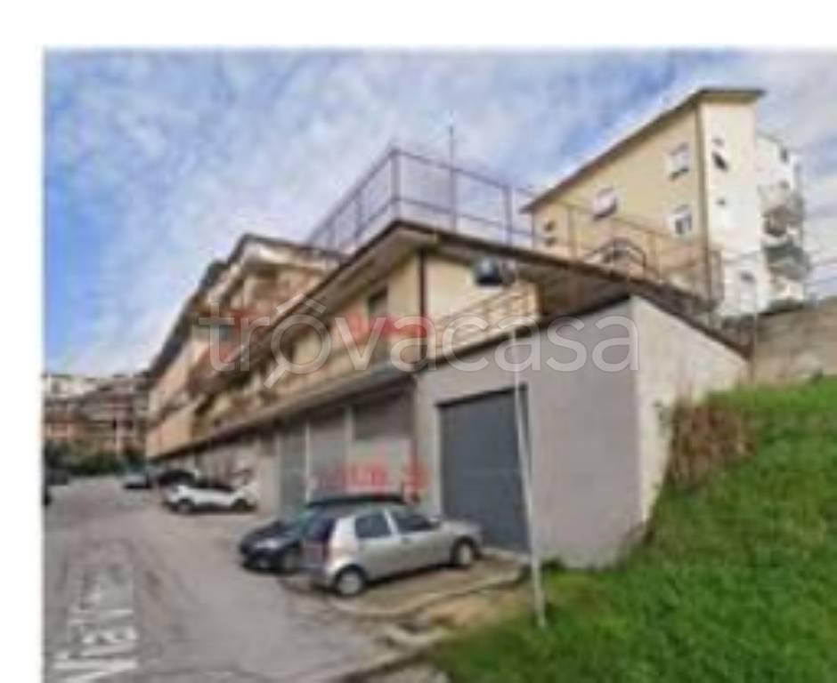 immagine annuncio 5 di 12