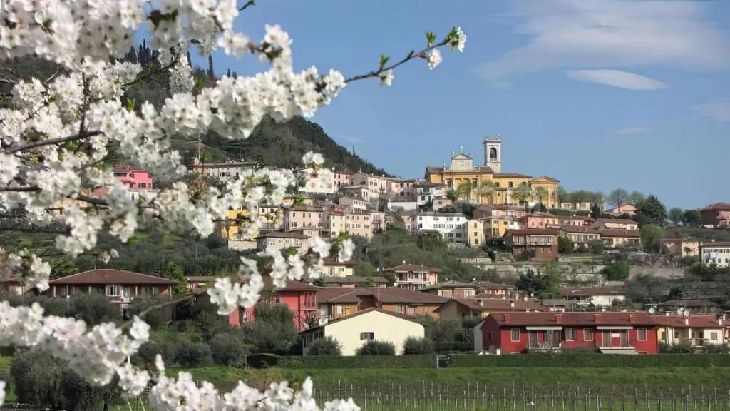 immagine annuncio 9 di 12
