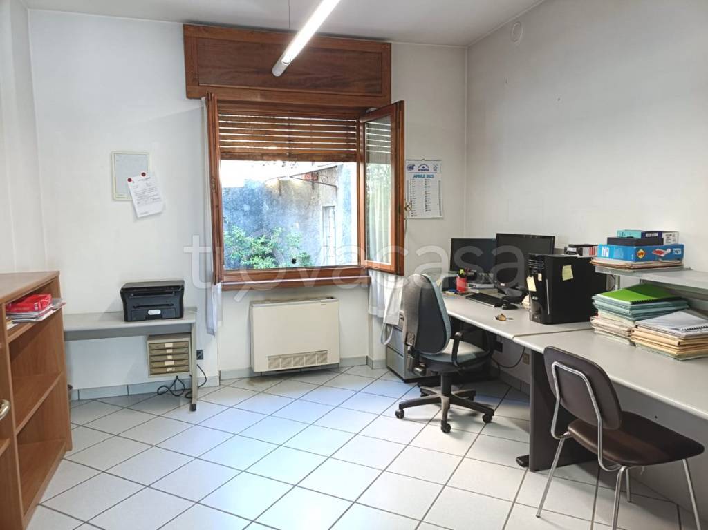 immagine annuncio 2 di 12