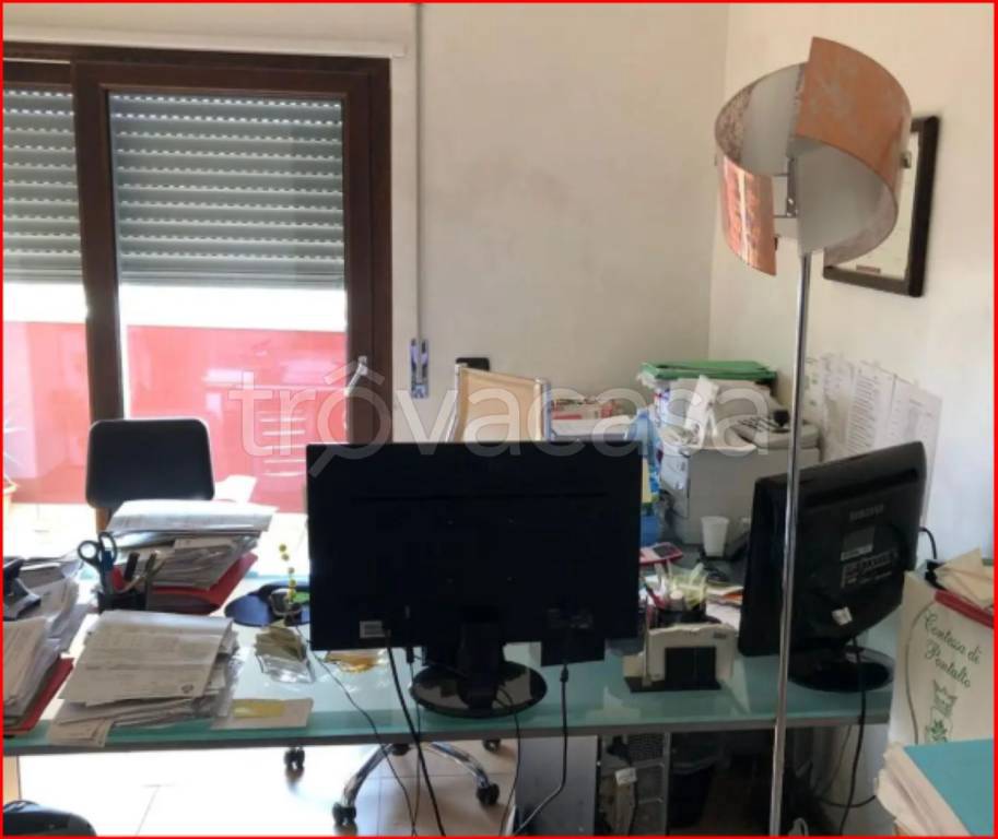 immagine annuncio 7 di 12