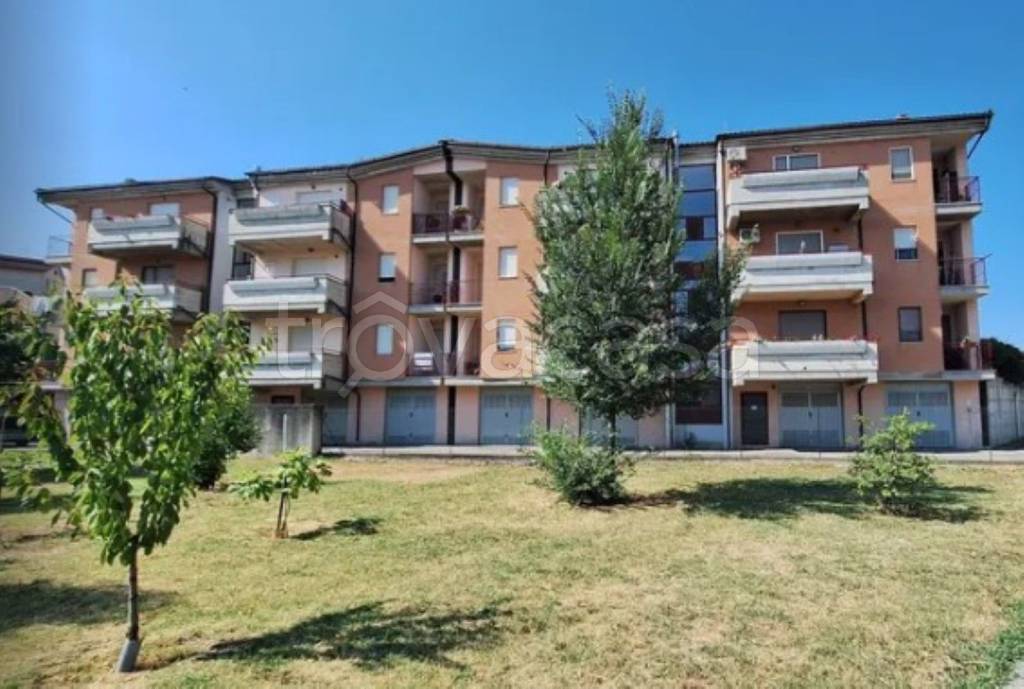 immagine annuncio 1 di 11