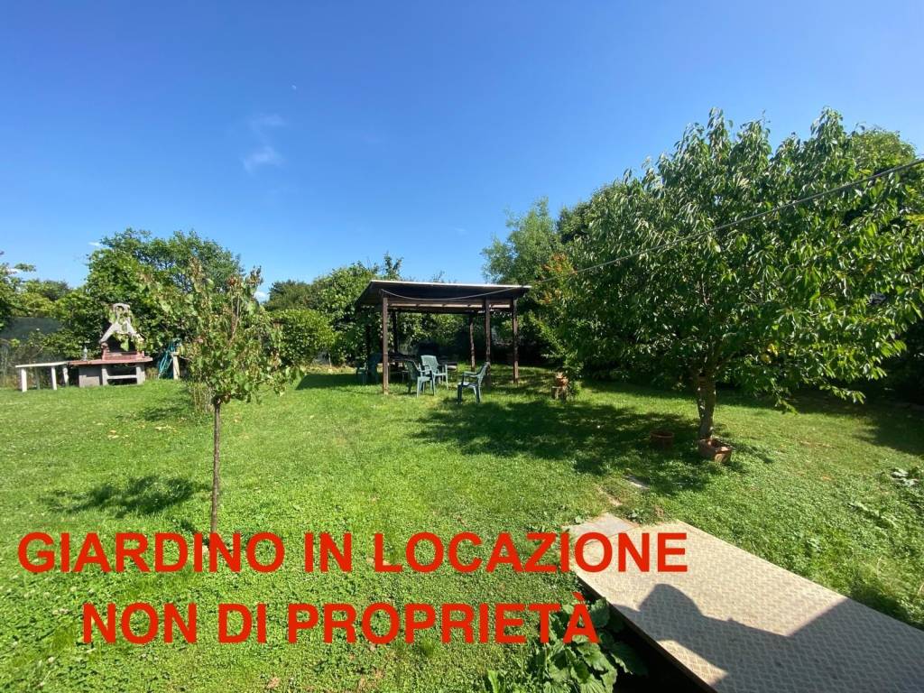 immagine annuncio 10 di 13