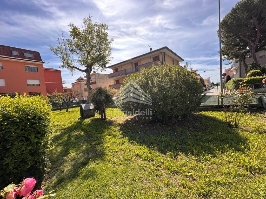 immagine annuncio 9 di 13