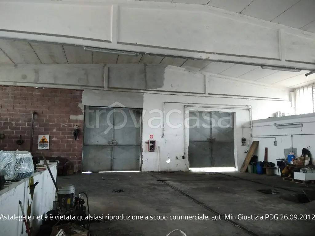 immagine annuncio 9 di 13