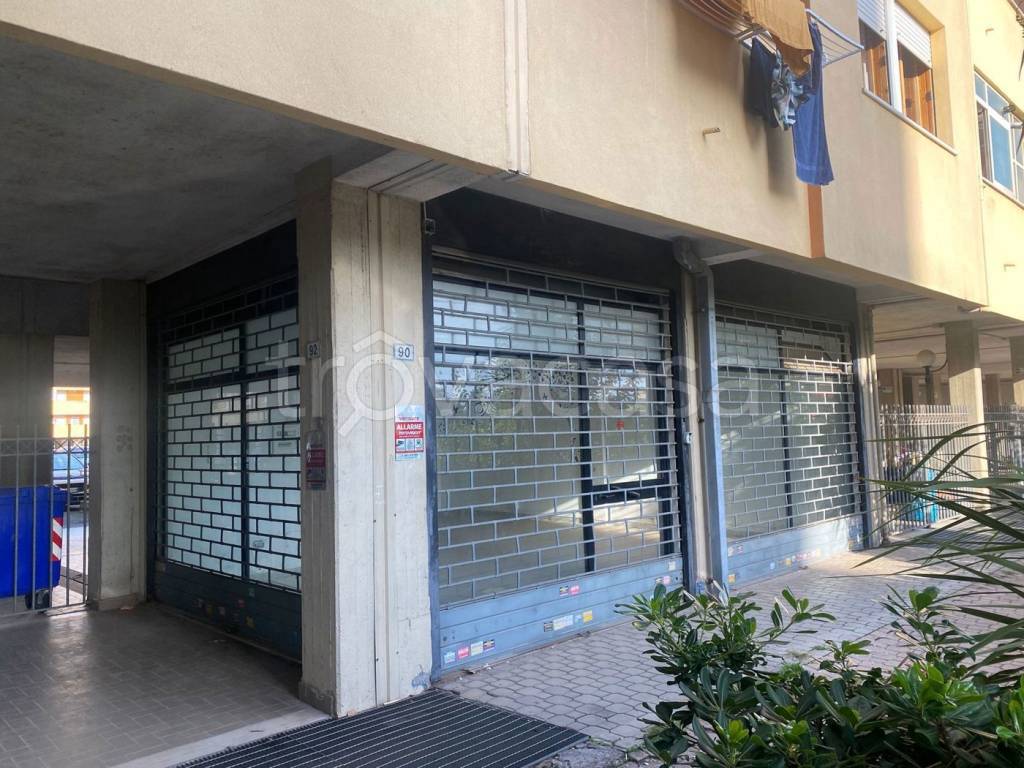 immagine annuncio 10 di 14