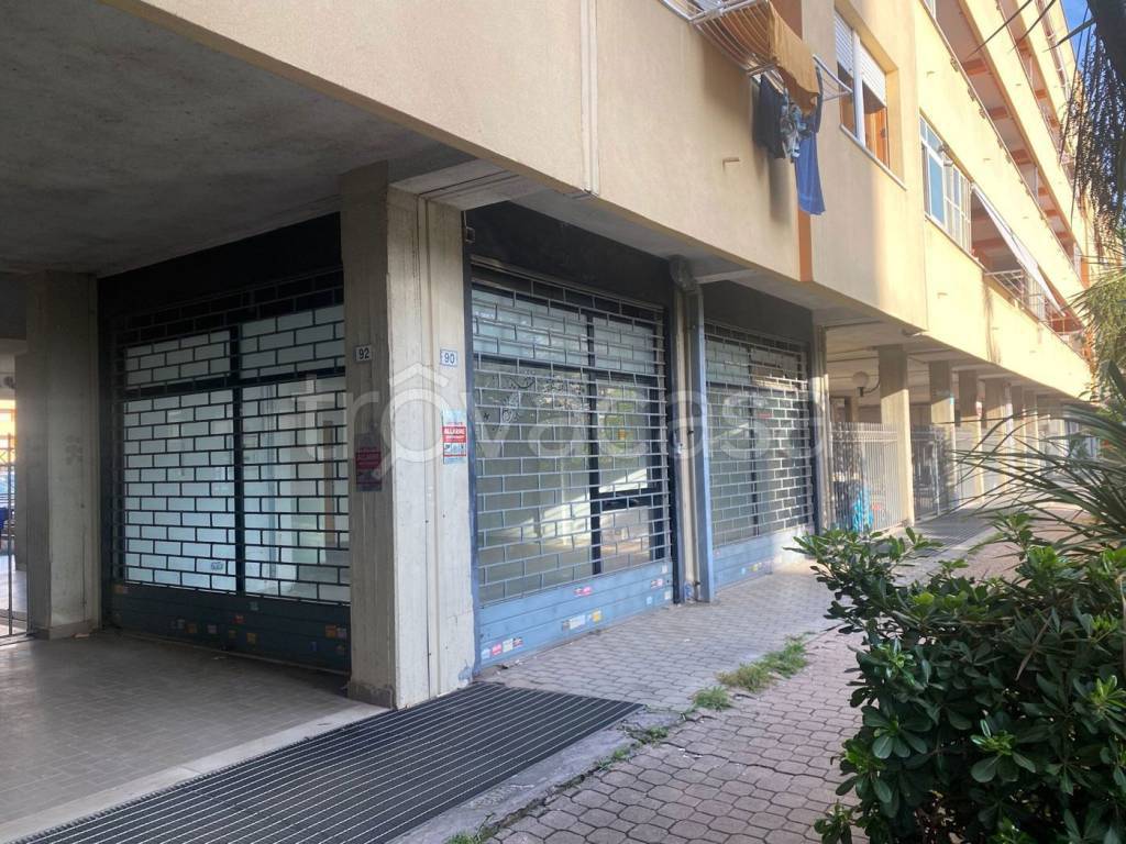 immagine annuncio 11 di 14