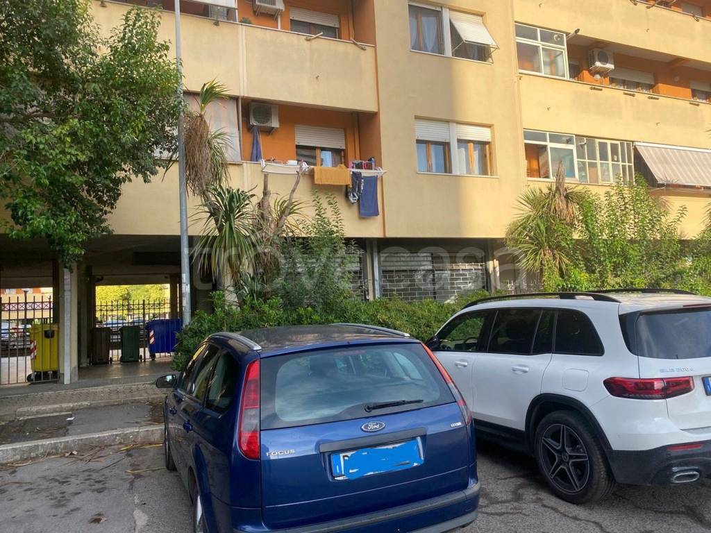 immagine annuncio 13 di 14