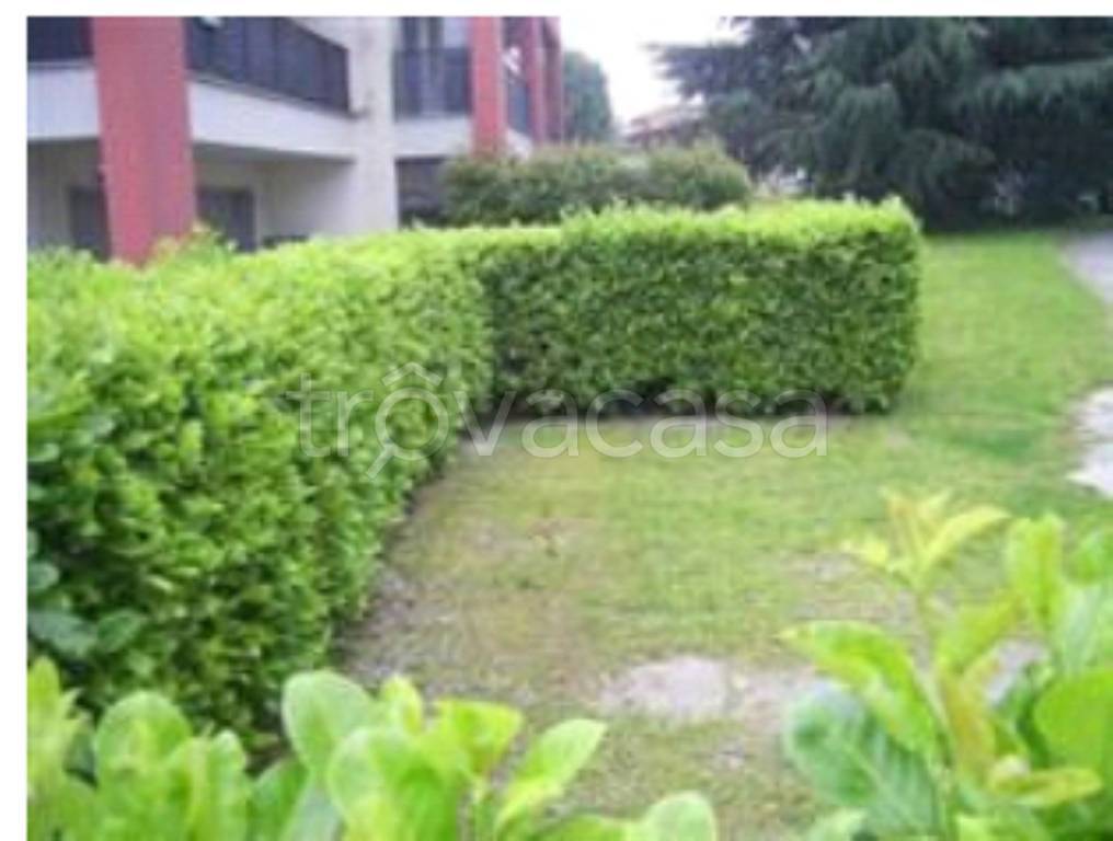 immagine annuncio 10 di 12