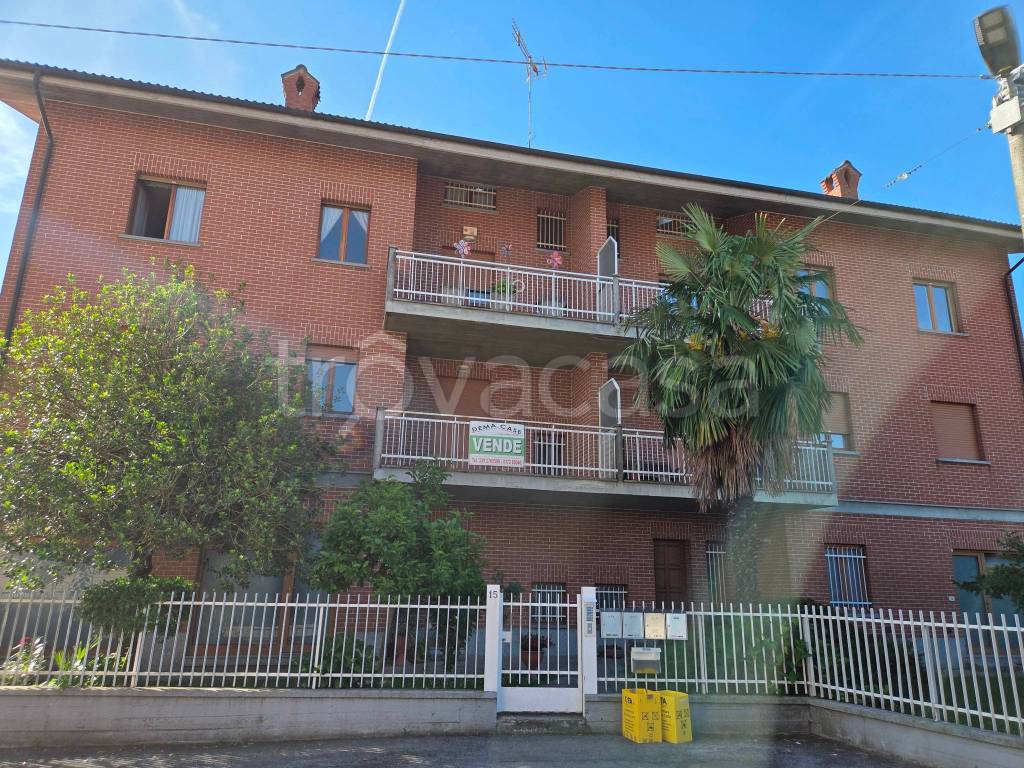 immagine annuncio 3 di 15