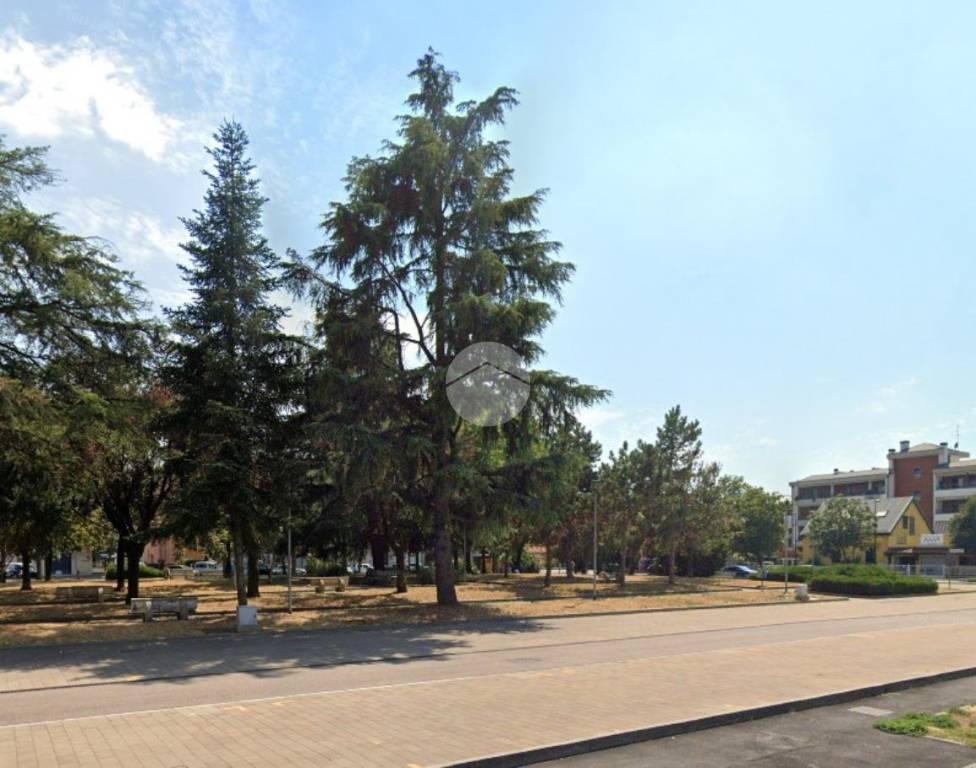 immagine annuncio 4 di 8