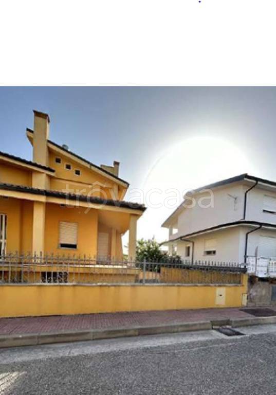 immagine annuncio 8 di 12