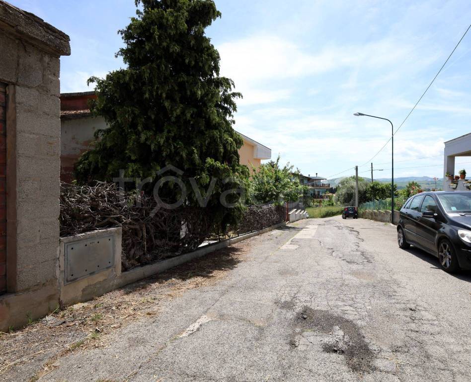 immagine annuncio 10 di 11