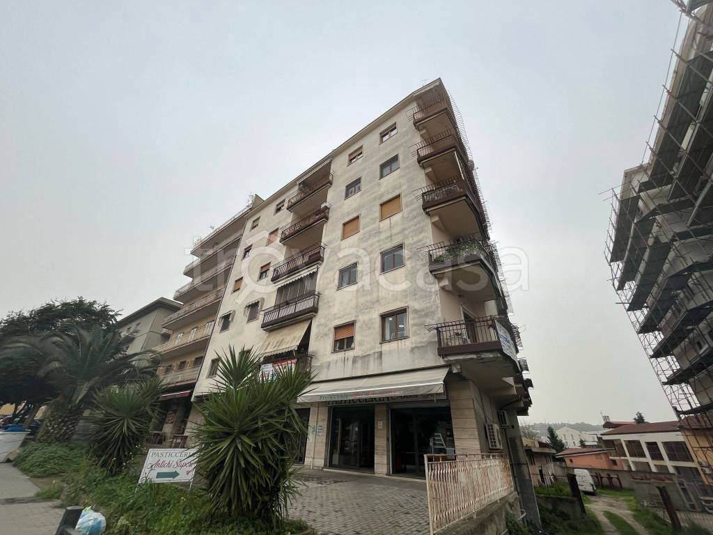 immagine annuncio 1 di 2