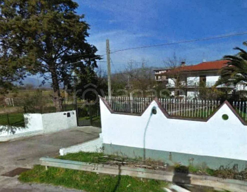 immagine annuncio 11 di 13