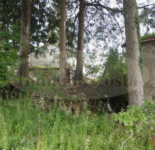 immagine annuncio 3 di 9