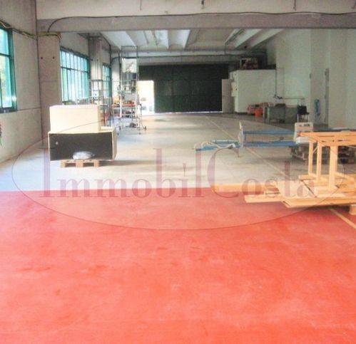 immagine annuncio 3 di 7