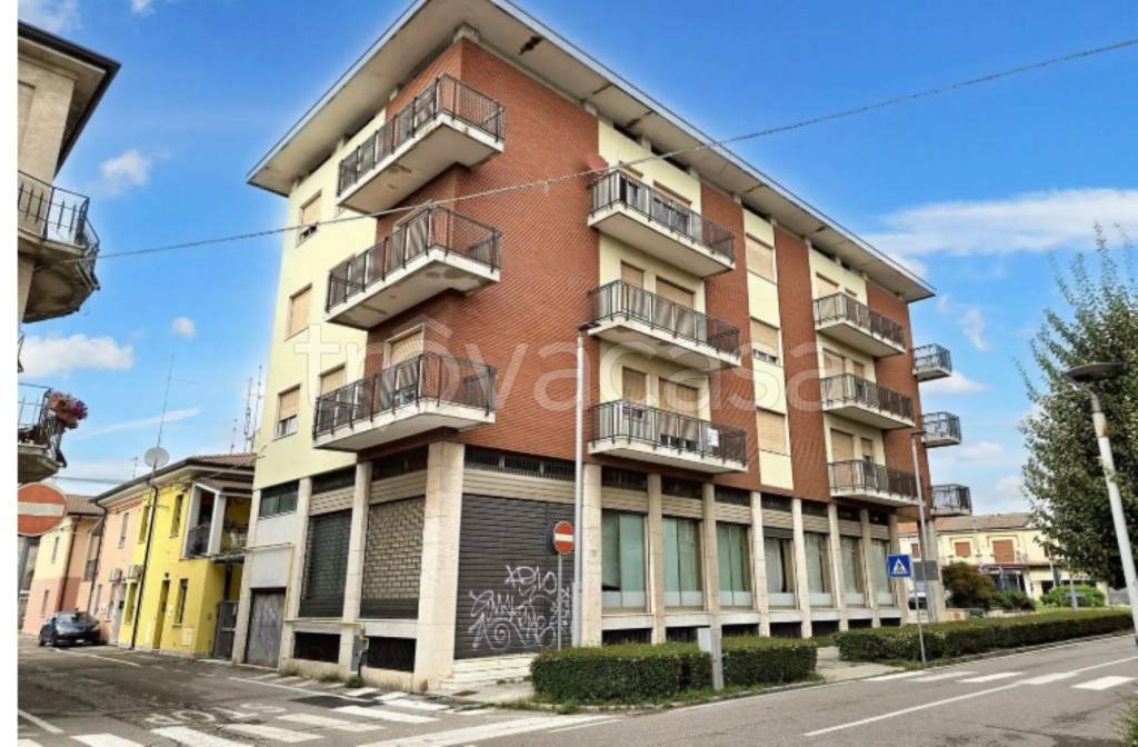 immagine annuncio 5 di 13