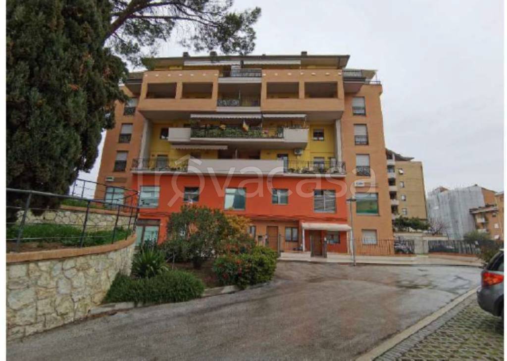 immagine annuncio 4 di 11
