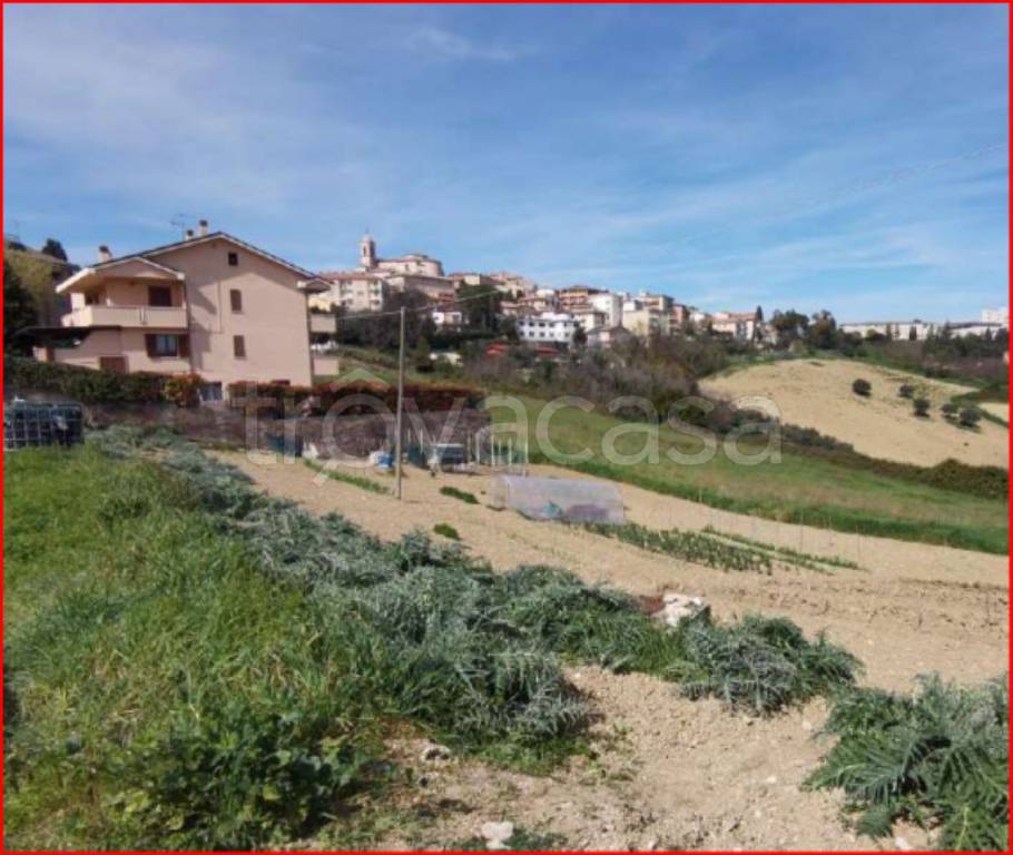immagine annuncio 3 di 11