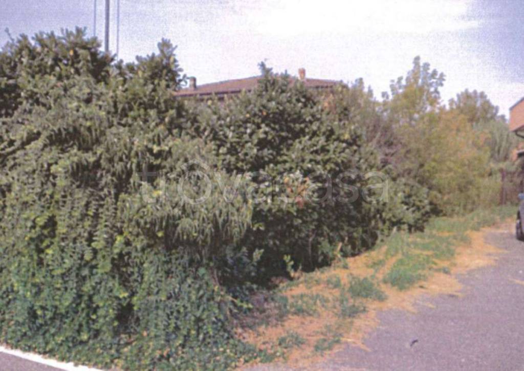 immagine annuncio 3 di 11