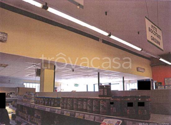immagine annuncio 4 di 8
