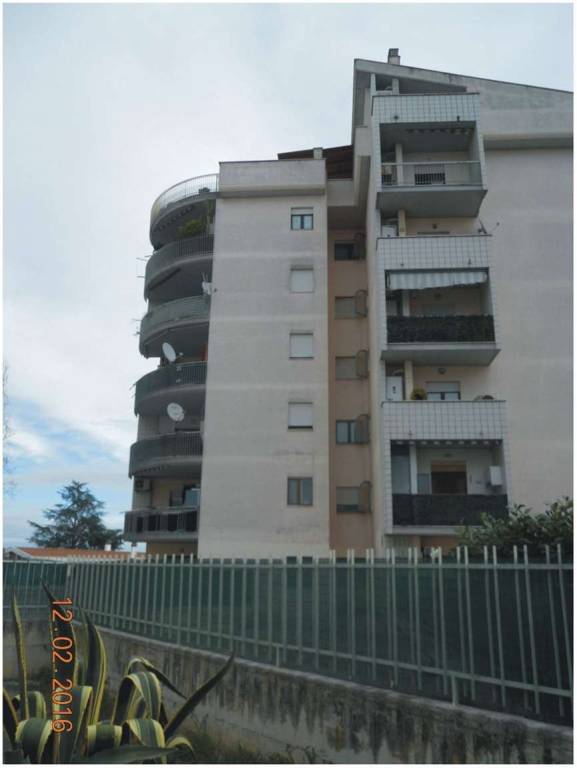 immagine annuncio 2 di 7