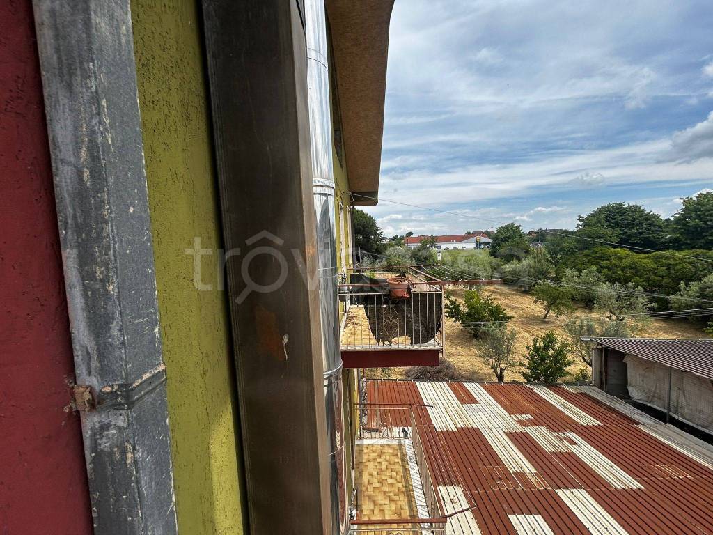 immagine annuncio 7 di 13