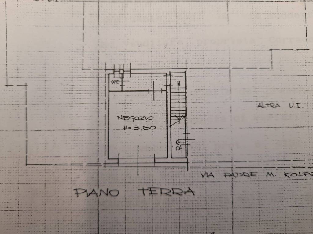 immagine annuncio 6 di 7