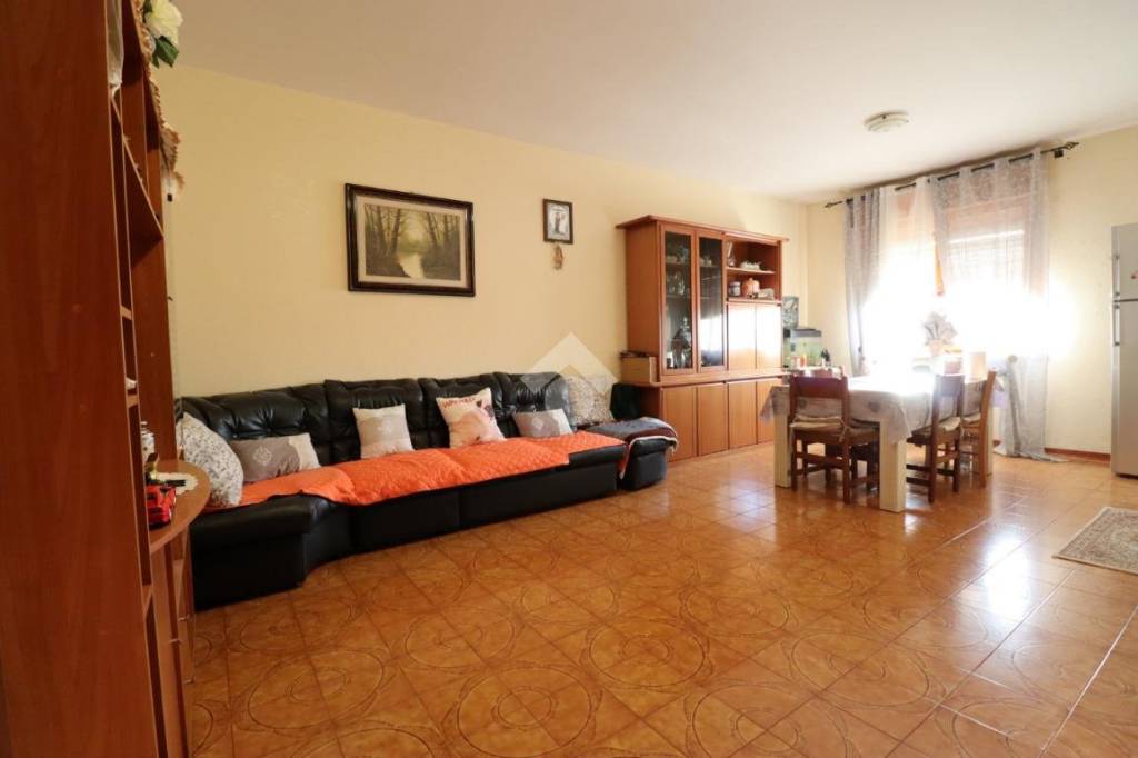 immagine annuncio 3 di 11