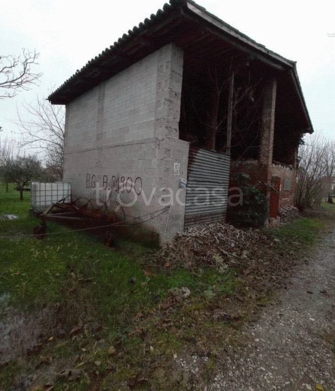 immagine annuncio 4 di 11