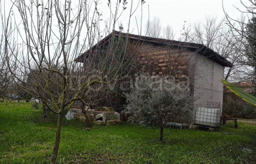 immagine annuncio 6 di 11