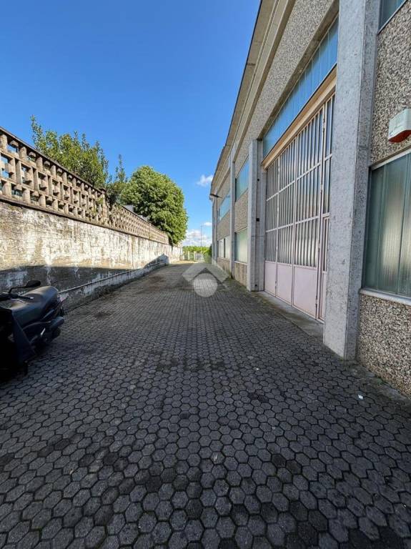 immagine annuncio 3 di 13