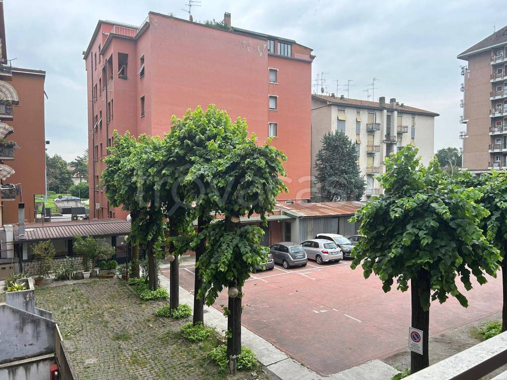 immagine annuncio 7 di 14