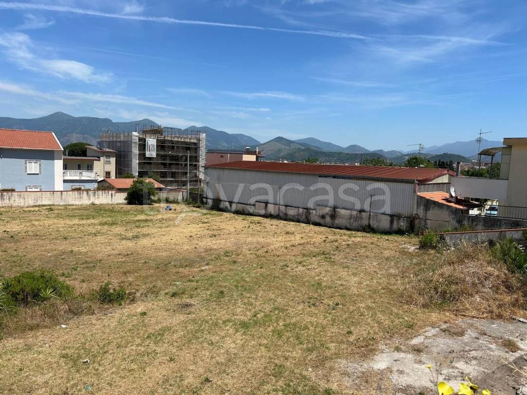 immagine annuncio 10 di 14