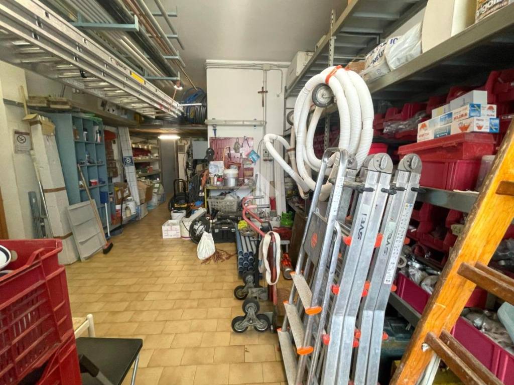 immagine annuncio 11 di 15