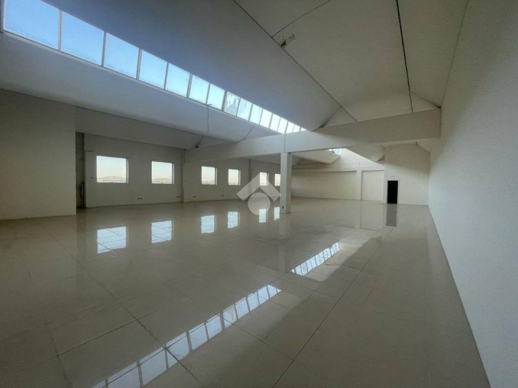 immagine annuncio 2 di 6