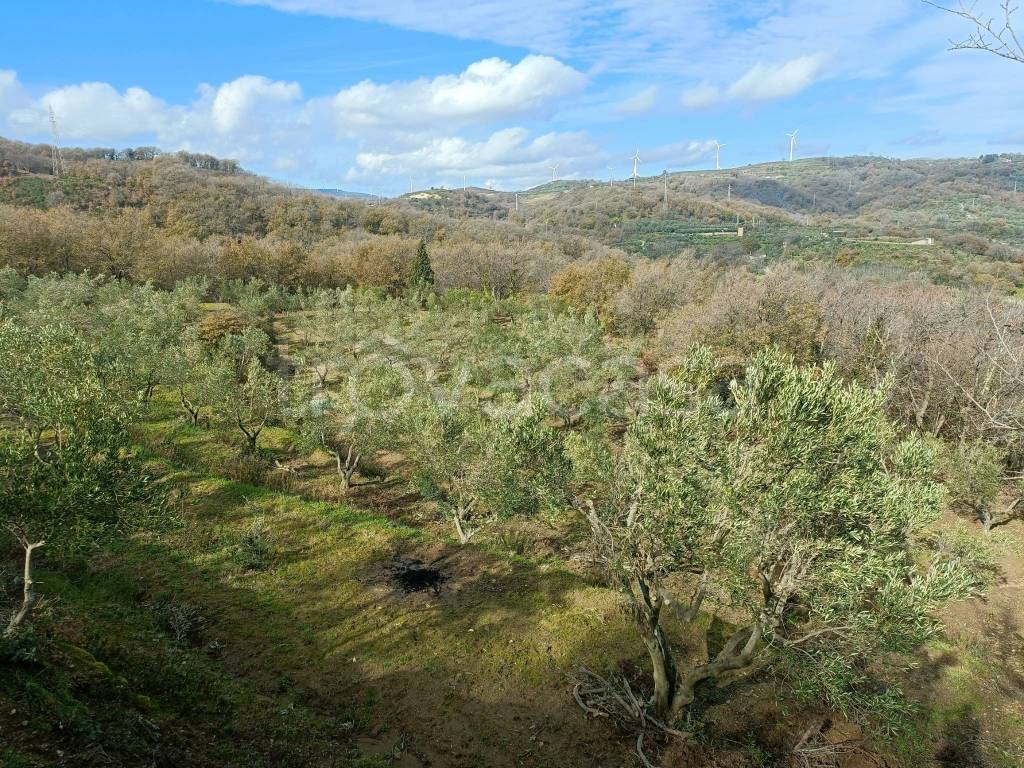 immagine annuncio 9 di 14
