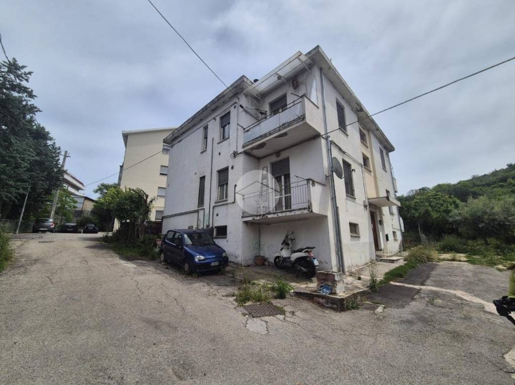 immagine annuncio 1 di 12