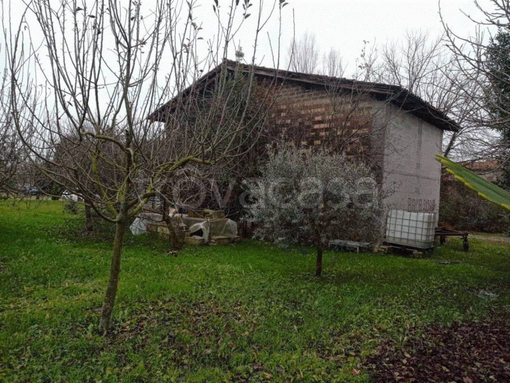 immagine annuncio 3 di 7