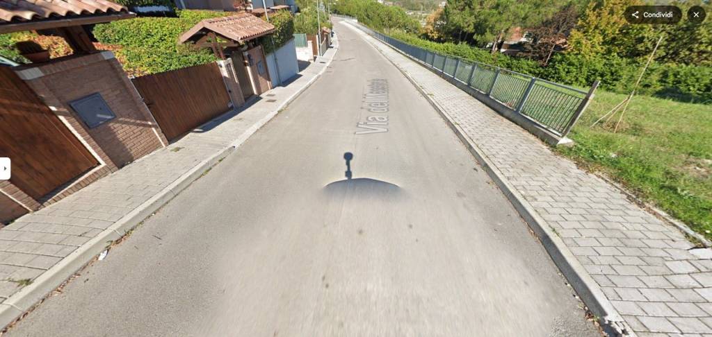 immagine annuncio 11 di 13