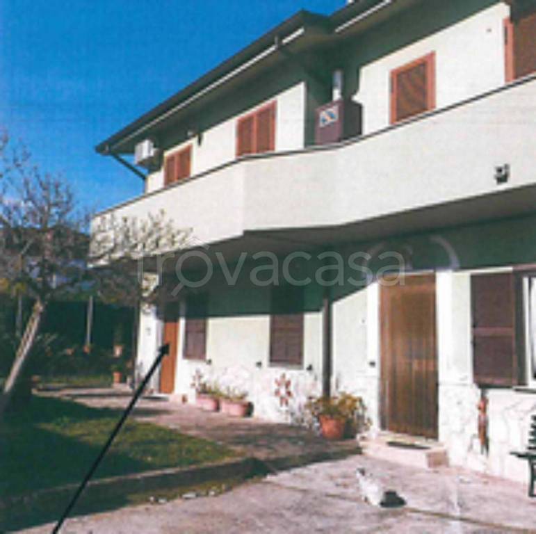 immagine annuncio 9 di 13