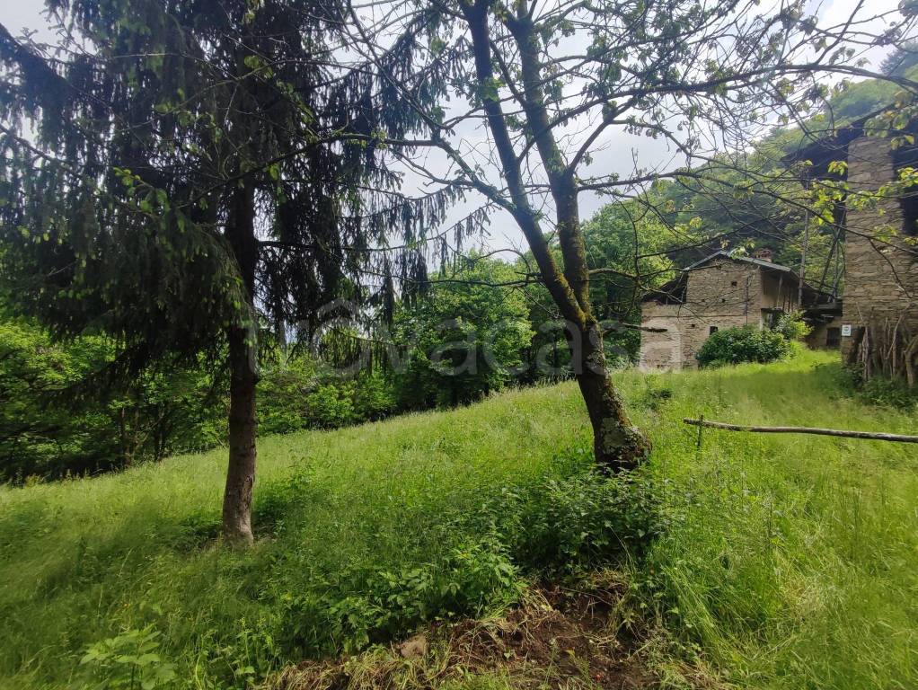 immagine annuncio 3 di 7