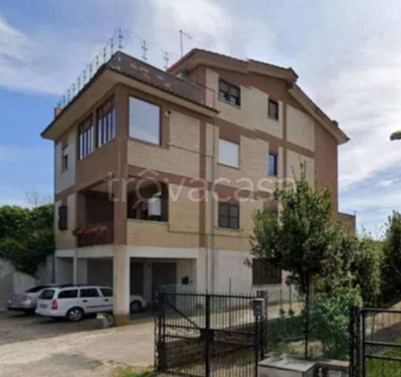 immagine annuncio 5 di 14