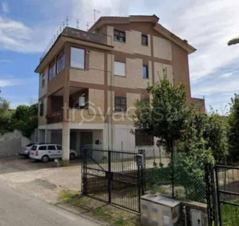 immagine annuncio 6 di 14