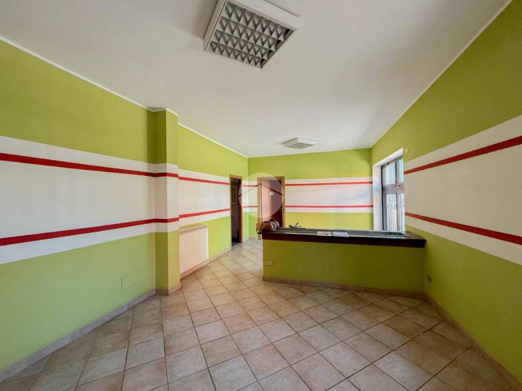 immagine annuncio 2 di 14