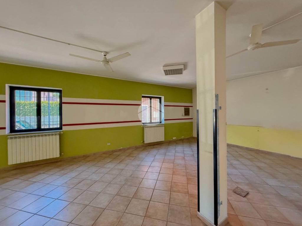 immagine annuncio 12 di 14