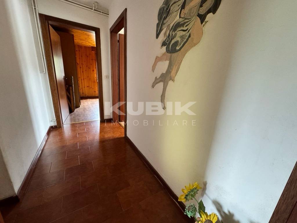 immagine annuncio 9 di 14