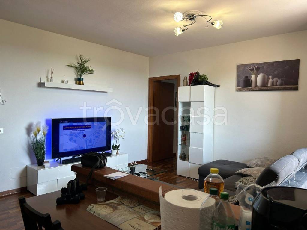 immagine annuncio 1 di 13