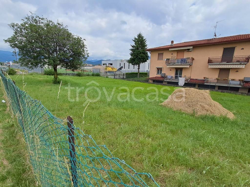 immagine annuncio 2 di 9